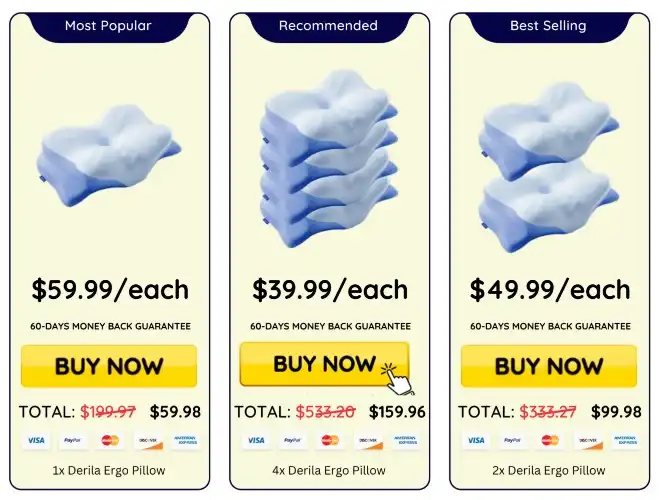 Derila Ergo Derila Ergo Pillowprice